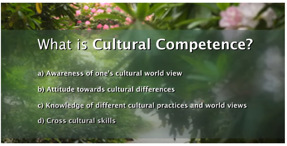 Cultural Competency in Healthcare